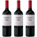 3 Kit com 3 Casillero Del Diablo