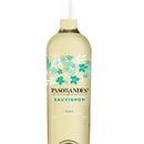 Vinho Paso de Los Andes Sauvignon Blanc 750ml